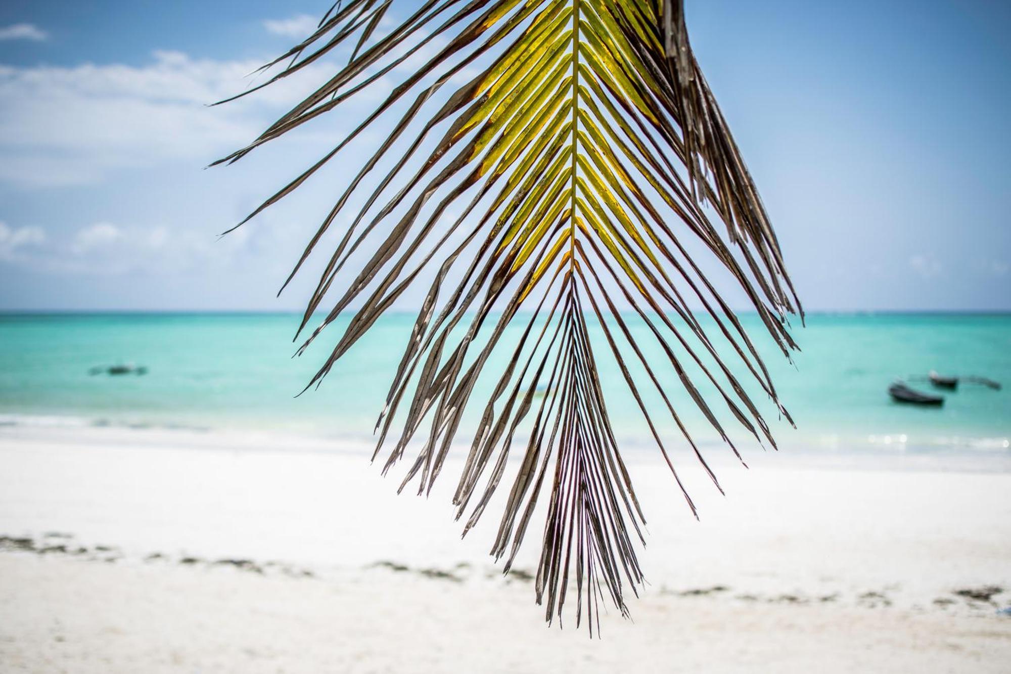 Mahali Zanzibar Hotel Paje Bagian luar foto